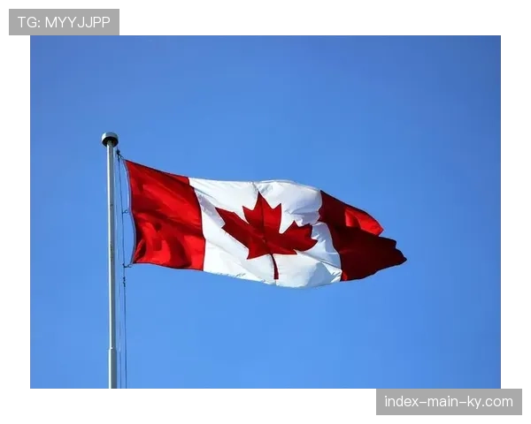 中北美东道主优势明显 美国加拿大借主办契机崛起